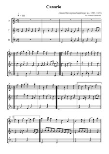Canario: For trio recorders by Johann Kapsberger