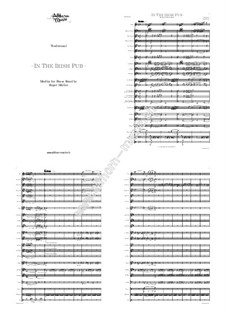 In The Irish Pub: In The Irish Pub by folklore, Roger Müller