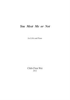 You Meet Me or Not: You Meet Me or Not by Chih-Chen Wei