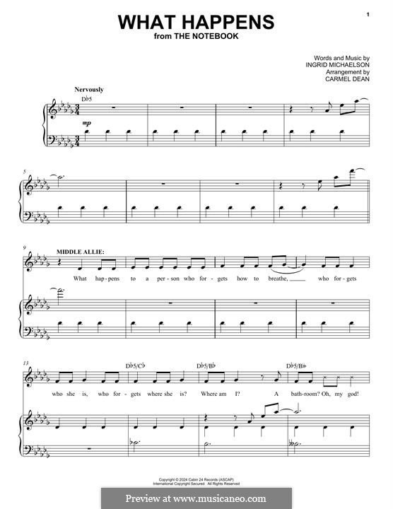 What Happens (from The Notebook): What Happens (from The Notebook) by Ingrid Michaelson