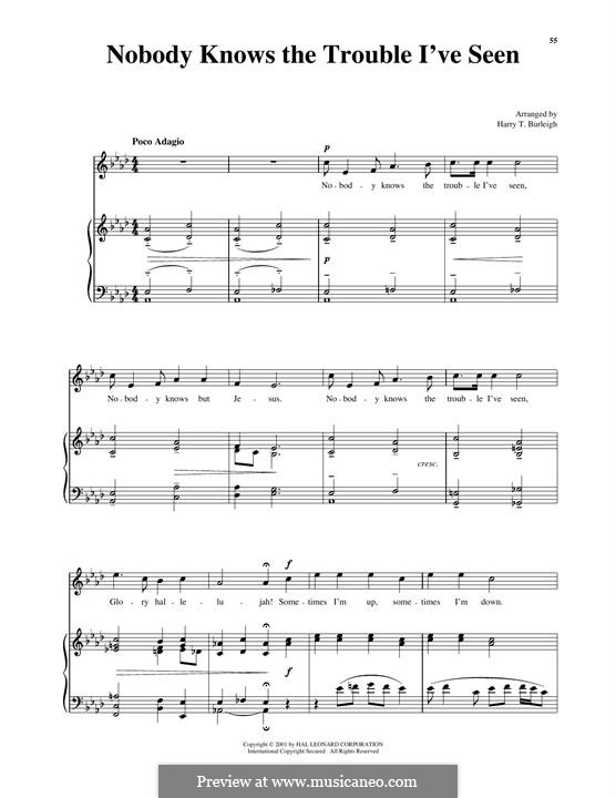 Nobody Knows the Trouble I've Seen: High Voice by folklore