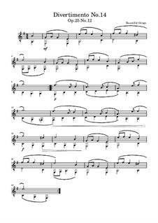 Divertimento No.14, Op.25 No.12: Divertimento No.14 by Beautiful things Martínez