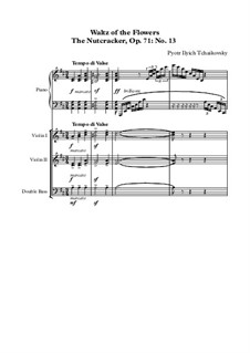 No.8 Waltz of the Flowers: For chamber orchestra – score by Pyotr Tchaikovsky