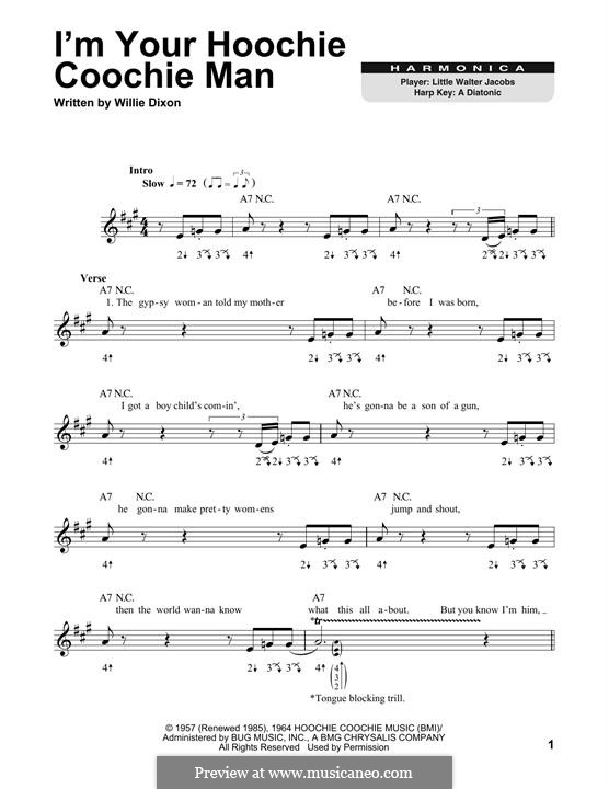 I'm Your Hoochie Coochie Man (Muddy Waters): For harmonica by Willie Dixon