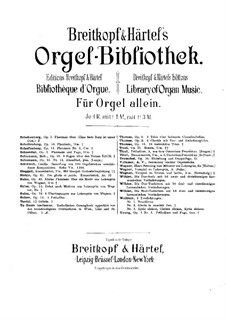 Sonata for Organ in G Minor, Op.29: Sonata for Organ in G Minor by Edgar Pierre Joseph Tinel