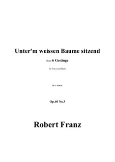 Six Songs, Op.40: No.3 Unterm weissen Baume sitzend in e minor by Robert Franz