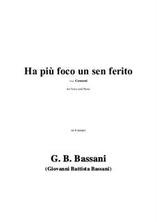 Ha più foco un sen ferito in b minor: Ha più foco un sen ferito in b minor by Giovanni Battista Bassani
