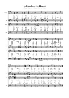 A Liedel aus der Haamit: A Liedel aus der Haamit by Anton Günther