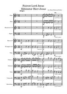 Fairest Lord Jesus: For symphonic orchestra by folklore