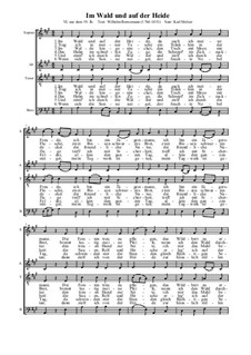 Im Wald und auf der Heide: Im Wald und auf der Heide by folklore