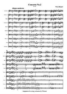 Concerto for Violin and Orchestra No.2 in D Major, K.211: Version for violin and string orchestra by Wolfgang Amadeus Mozart