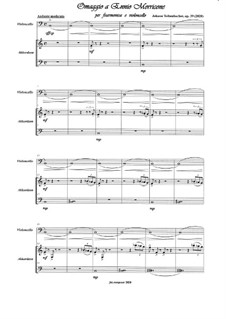 Omaggio a Ennio Morricone for Accordion and Cello - Full Score (2020), Op.39: Omaggio a Ennio Morricone for Accordion and Cello - Full Score (2020) by Johann Teibenbacher