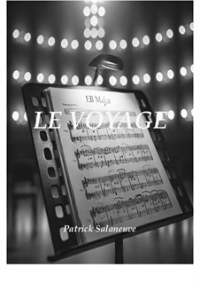 Le Voyage: Le Voyage by Patrick Salaneuve