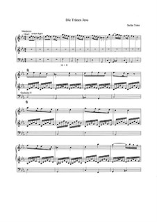 10 compositions that meditate on stages in the life of Jesus Christ: No.6 Jesus weeps tears by Stefan Tome