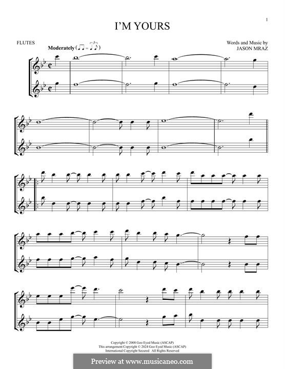 I'm Yours: For two flutes by Jason Mraz