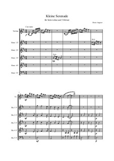 Kleine Serenade f. Violine u. Hörner: Kleine Serenade f. Violine u. Hörner by Dieter Angerer