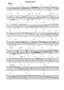 Sonata in B Flat Major for Lute, Violin and Cello: Sonata in B Flat Major for Lute, Violin and Cello by Bernhard Joachim Hagen