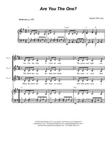 Are You The One?: Duet for Tenor and Bass solo by Stephen DeCesare