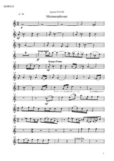 Metamorphosen, Op.15: Metamorphosen by Egmont Fuchs