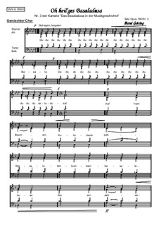 Das Basaladusa, Op.180: Nr.3 Oh heil'ges basaladusa by folklore