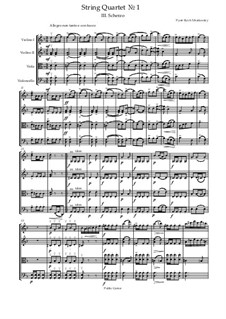String Quartet No.1 in D Major, TH 111 Op.11: Movement III by Pyotr Tchaikovsky