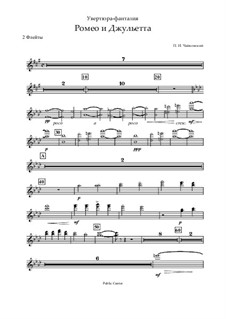 Complete Overture: Flutes part by Pyotr Tchaikovsky