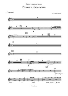 Complete Overture: Violin II part by Pyotr Tchaikovsky