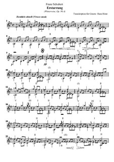No.4 Erstarrung (Numbness): For guitar by Franz Schubert