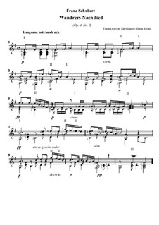 Wanderer's Night Song I, D.224 Op.4 No.3: For guitar by Franz Schubert