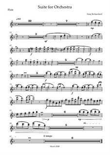 Suite for Orchestra: Parts by Seraj Rohanifard