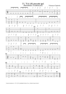 Voi chi passate qui: Voi chi passate qui by Vincenzo Capirola