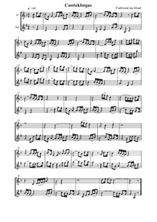Carrickfergus: For flute and bass clarinet by folklore