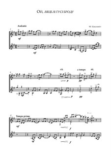 Ой, ляцелi гусi броду: Ой, ляцелi гусi броду by Maxim Tsekhanovich