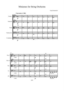 Miniature for String Orchestra: Full Score by Seraj Rohanifard