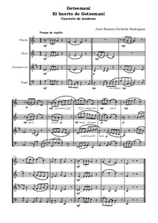 El huerto de Getsemaní. Cuarteto de maderas: El huerto de Getsemaní. Cuarteto de maderas by José Ramón Córdoba Rodríguez