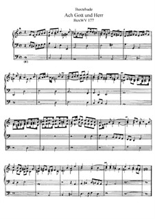 Chorale Preludes and Magnificats: For organ, BuxWV 177-224 by Dietrich Buxtehude