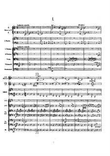 Symphony No.9 in D Major: Full score by Gustav Mahler