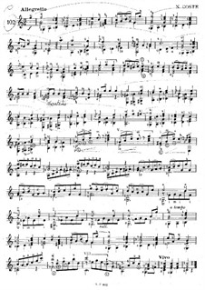 Allegretto in C Major: Allegretto in C Major by Napoléon Coste