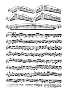 Complete set: No.5-9 by Niccolò Paganini