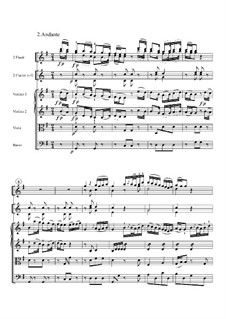 Symphony No.1 in D Major: Movement II by Johann Melchior Dreyer