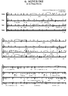 Missa Brevis: Agnus Dei by Giovanni da Palestrina
