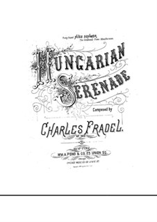 Hungarian Serenade, Op.502: Hungarian Serenade by Charles Fradel