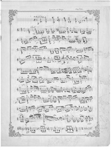 Andante and Allegro: For guitar (manuscript) by Napoléon Coste