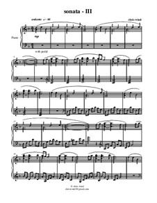 Sonata: Third movement (andante) by Chris Wind