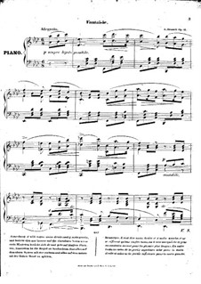 Fantasia, op.16: Fantasia by Adolf von Henselt