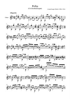 Polka for Guitar: For a single performer by Johann Kaspar Mertz