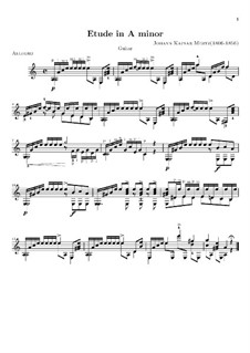 Etude in A Minor: Etude in A Minor by Johann Kaspar Mertz