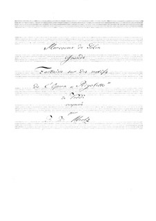 Fantasia on Theme from 'Rigoletto' by Verdi: Fantasia on Theme from 'Rigoletto' by Verdi by Johann Kaspar Mertz