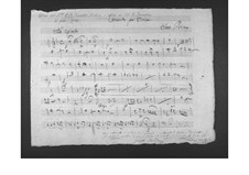 Concerto for Viola and Orchestra: Oboes parts by Gaetano Donizetti