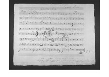 Concerto for Viola and Orchestra: French horns parts by Gaetano Donizetti